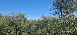 Αγροτεμάχια 15.000 τ.μ. για πώληση, Μεσσηνία, Βουφράδα-thumb-21