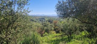 Αγροτεμάχια 15.000 τ.μ. για πώληση, Μεσσηνία, Βουφράδα-thumb-24