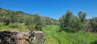Αγροτεμάχια 15.000 τ.μ. για πώληση, Μεσσηνία, Βουφράδα-thumb-30