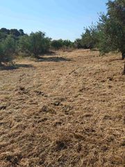 Αγροτεμάχια 15.000 τ.μ. για πώληση, Μεσσηνία, Βουφράδα-thumb-32