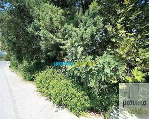 Συγκρότημα διαμερισμάτων 476 τ.μ. για πώληση, Αργολίδα, Άργος-thumb-32