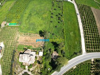 Συγκρότημα διαμερισμάτων 476 τ.μ. για πώληση, Αργολίδα, Άργος-thumb-4
