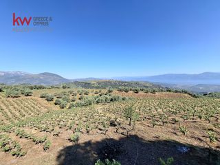Μονοκατοικία 30 τ.μ. προς ενοικίαση, Αίγιο-thumb-13