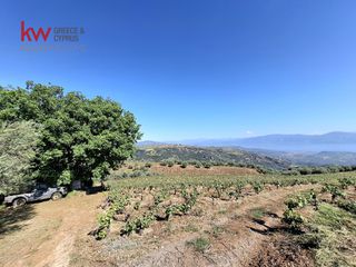 Μονοκατοικία 30 τ.μ. προς ενοικίαση, Αίγιο-thumb-16