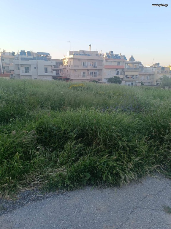 Οικόπεδο 607 τ.μ. προς πώληση, Μεσαμπελιές