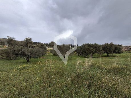 Οικόπεδο 3.055 τ.μ. για πώληση
