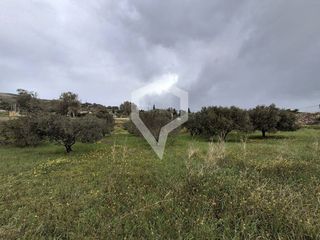Οικόπεδο 3.055 τ.μ. προς πώληση