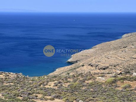 Αγροτεμάχια 12.000 τ.μ. για πώληση