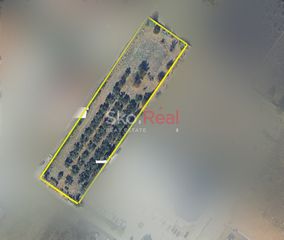 Αγροτεμάχια 4.004 τ.μ. για πώληση