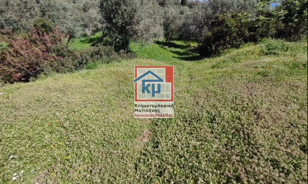 Οικόπεδο 1.757 τ.μ. πρός πώληση, Ν. Λέσβου, Λέσβος - Μυτιλήνη