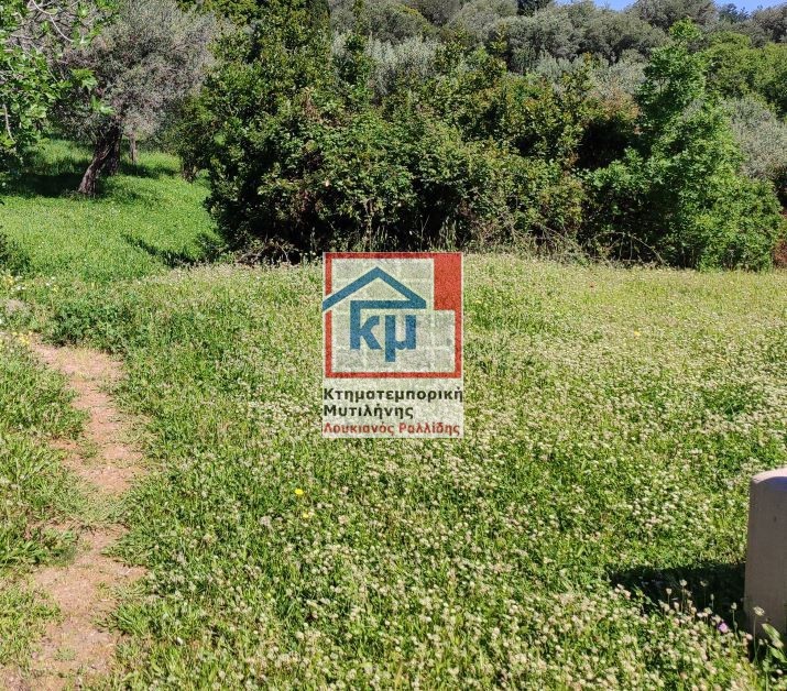 Οικόπεδο 1.757 τ.μ. πρός πώληση, Ν. Λέσβου, Λέσβος - Μυτιλήνη
