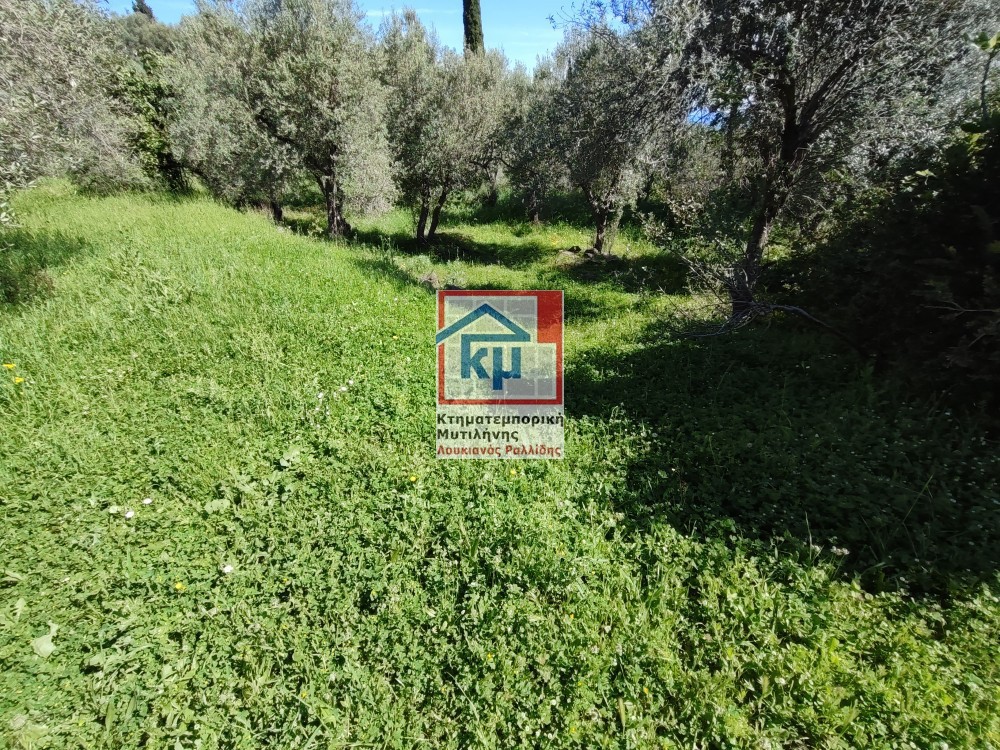 Οικόπεδο 1.757 τ.μ. πρός πώληση, Ν. Λέσβου, Λέσβος - Μυτιλήνη