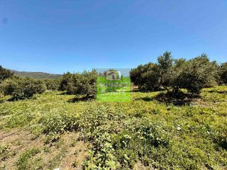 Οικόπεδο 719 τ.μ. για πώληση, Ν. Χανίων, Κολυμβάρι-thumb-21