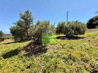 Οικόπεδο 719 τ.μ. για πώληση, Ν. Χανίων, Κολυμβάρι-thumb-15
