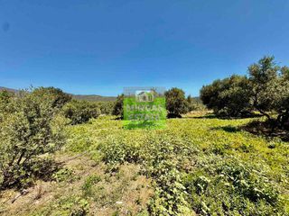 Οικόπεδο 719 τ.μ. για πώληση, Ν. Χανίων, Κολυμβάρι-thumb-33