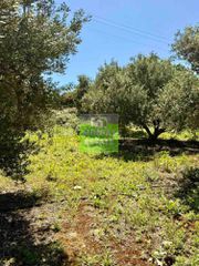 Οικόπεδο 719 τ.μ. για πώληση, Ν. Χανίων, Κολυμβάρι-thumb-4