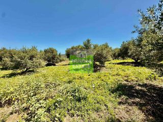 Οικόπεδο 719 τ.μ. για πώληση, Ν. Χανίων, Κολυμβάρι-thumb-22