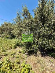 Οικόπεδο 719 τ.μ. για πώληση, Ν. Χανίων, Κολυμβάρι-thumb-31