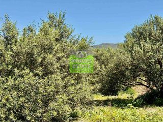 Οικόπεδο 719 τ.μ. για πώληση, Ν. Χανίων, Κολυμβάρι-thumb-9