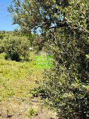 Οικόπεδο 719 τ.μ. για πώληση, Ν. Χανίων, Κολυμβάρι-thumb-5