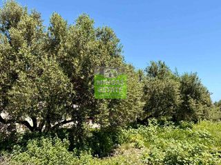 Οικόπεδο 516 τ.μ. για πώληση, Ν. Χανίων, Κολυμβάρι-thumb-5