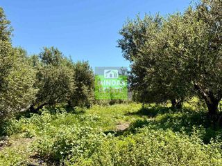 Οικόπεδο 516 τ.μ. για πώληση, Ν. Χανίων, Κολυμβάρι-thumb-22