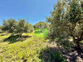 Οικόπεδο 516 τ.μ. για πώληση, Ν. Χανίων, Κολυμβάρι-thumb-10