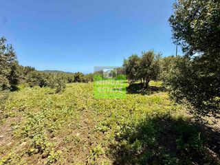 Οικόπεδο 516 τ.μ. για πώληση, Ν. Χανίων, Κολυμβάρι-thumb-7