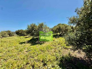 Οικόπεδο 516 τ.μ. για πώληση, Ν. Χανίων, Κολυμβάρι-thumb-21