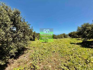 Οικόπεδο 516 τ.μ. για πώληση