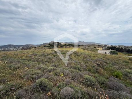 Οικόπεδο 3.700 τ.μ. για πώληση