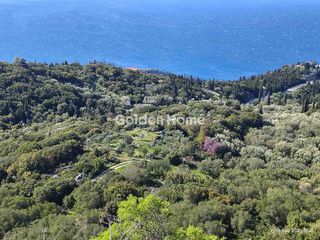 Οικόπεδο 4.000 τ.μ. για πώληση