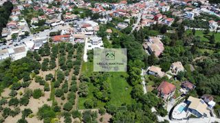 Οικόπεδο 3.387 τ.μ. προς πώληση, Θινάλιο-thumb-9