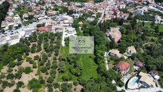 Οικόπεδο 3.387 τ.μ. προς πώληση, Θινάλιο-thumb-10