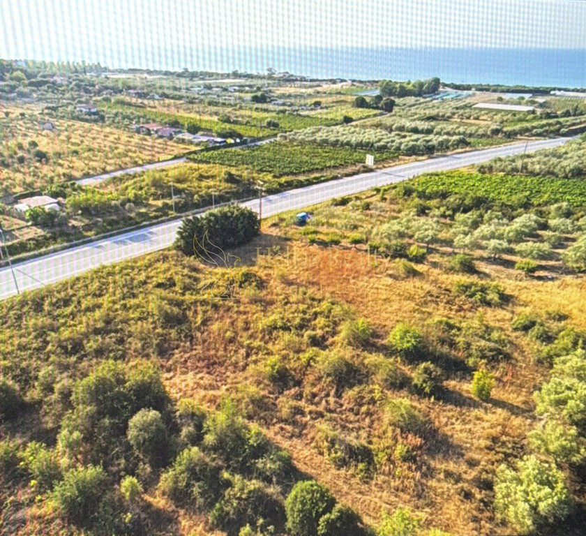 Αγροτεμάχια 1.144 τ.μ. για πώληση, Ν. Καβάλας, Ελευθερές