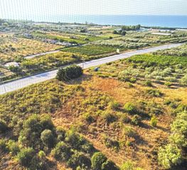 Αγροτεμάχια 1.144 τ.μ. για πώληση