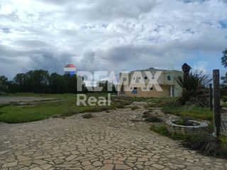 Οικόπεδο 40.000 τ.μ. για πώληση, Ν. Λασιθίου, Σητεία-thumb-4