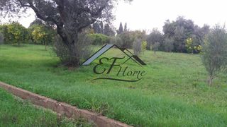 Οικόπεδο 1.010 τ.μ. προς πώληση, Βαλιμίτικα-thumb-1