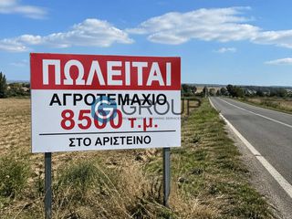 Αγροτεμάχια 8.500 τ.μ. για πώληση
