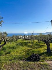Οικόπεδο 2.800 τ.μ. για πώληση