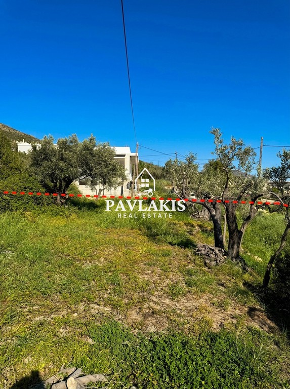 Οικόπεδο 2.800 τ.μ. πρός πώληση, Εύβοια, Κάρυστος