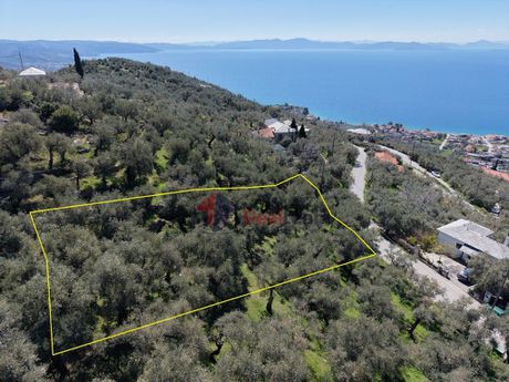 Οικόπεδο 1.197 τ.μ. προς πώληση