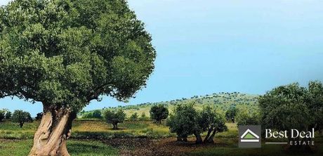 Οικόπεδο 456 τ.μ. για πώληση