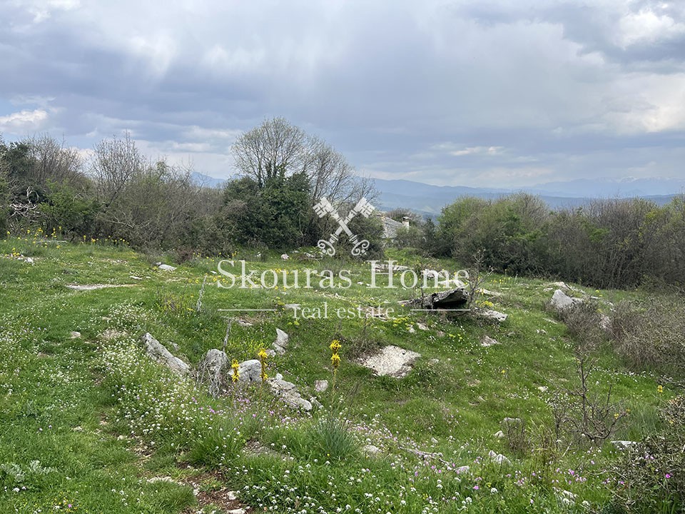 Οικόπεδο 1.500 τ.μ. πρός πώληση, Ν. Ιωαννίνων, Κεντρικό Ζαγόρι