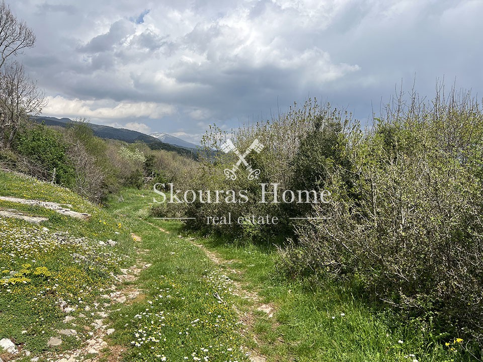 Οικόπεδο 1.500 τ.μ. πρός πώληση, Ν. Ιωαννίνων, Κεντρικό Ζαγόρι