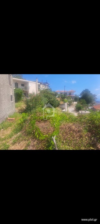 Μονοκατοικία 40 τ.μ. προς πώληση, Κερασιά Νηλέως