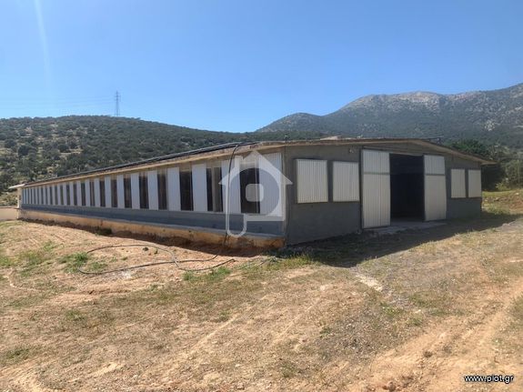 Warehouse 30 sqm for rent, Athens - East, Koropi