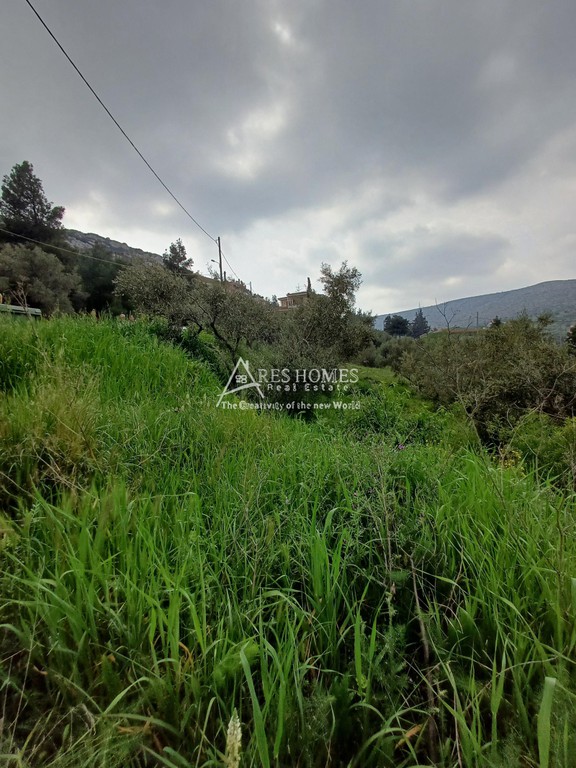 Οικόπεδο 887 τ.μ. προς πώληση, Κέντρο Φυλής