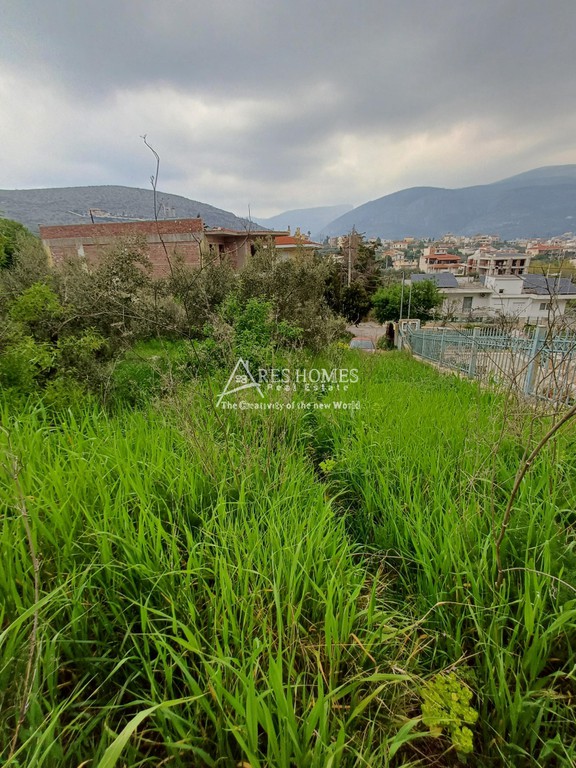 Οικόπεδο 887 τ.μ. προς πώληση, Κέντρο Φυλής