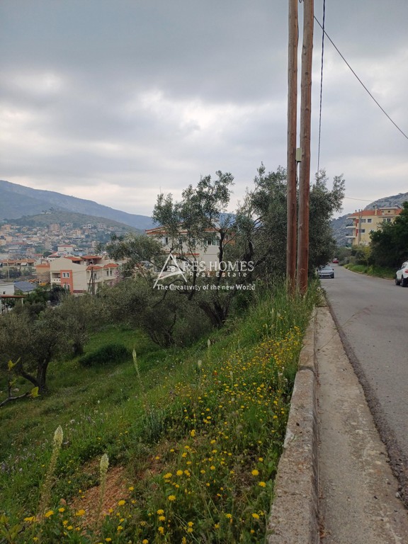 Οικόπεδο 887 τ.μ. προς πώληση, Κέντρο Φυλής